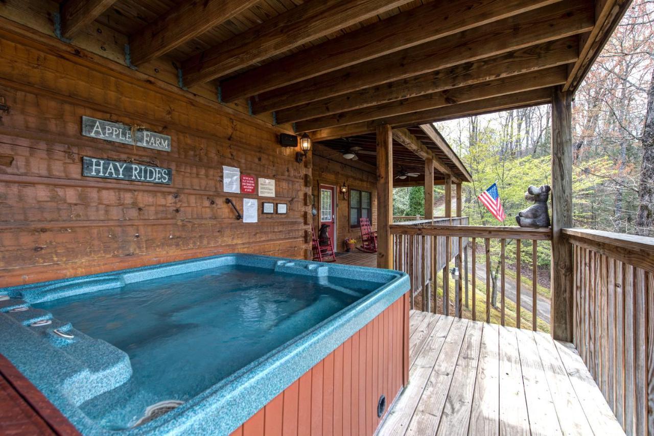 Lazy Cub Lodge ピジョンフォージ エクステリア 写真