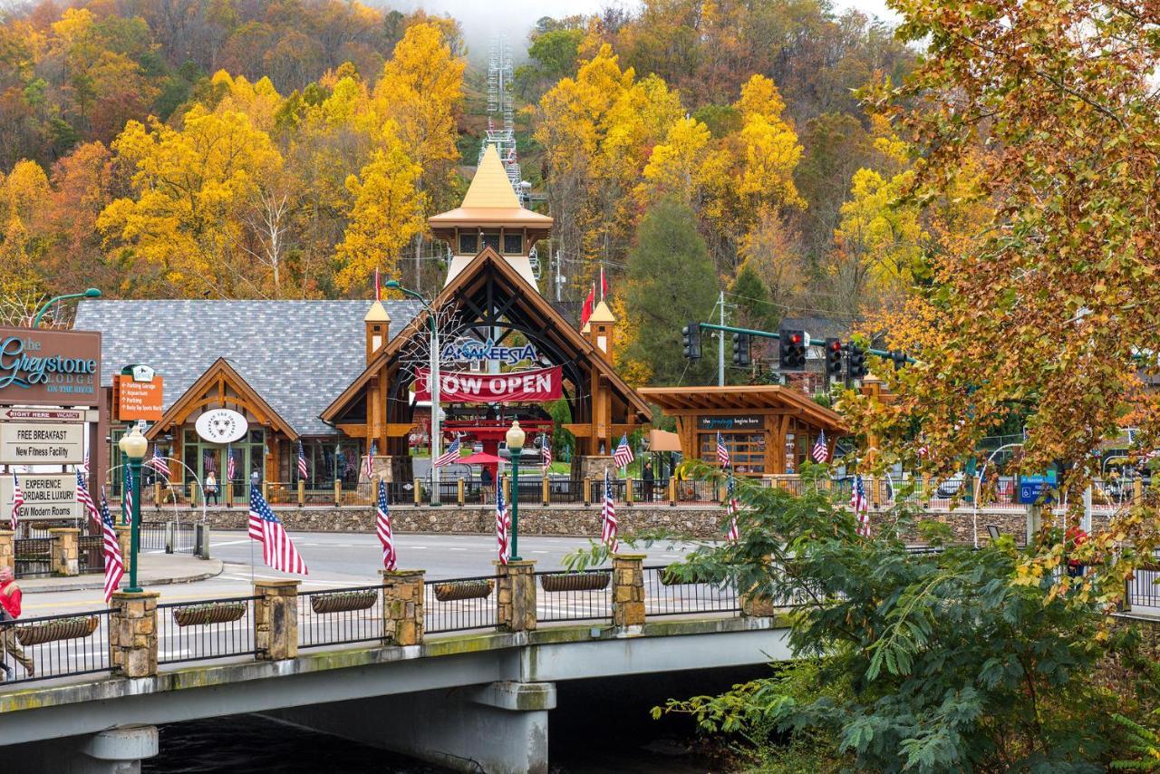 Lazy Cub Lodge ピジョンフォージ エクステリア 写真