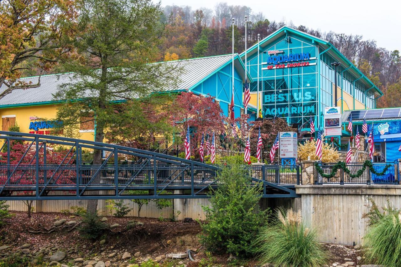 Lazy Cub Lodge ピジョンフォージ エクステリア 写真